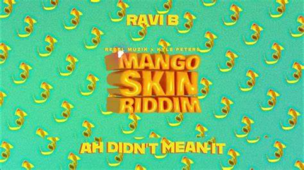 Ah Didn&#039;t Mean It by Ravi B x Rebel Muzik | Soca 2024