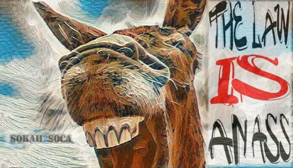 The Law Is An Ass by Short Pants | Calypso